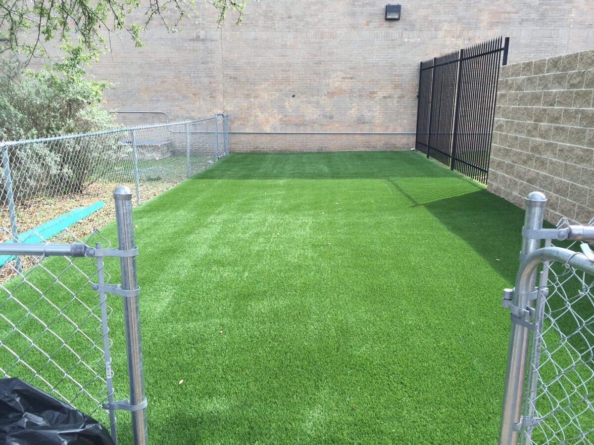 Dog Run Artificial Grass Salt Lake City