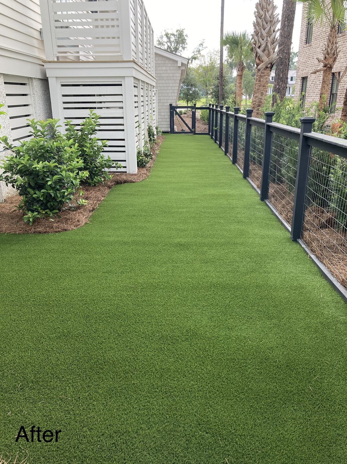 Dog Run Bluffton Backyard Pet Grass