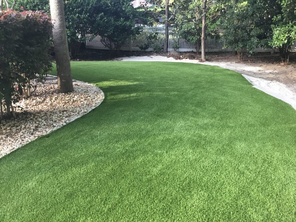 Backyard1