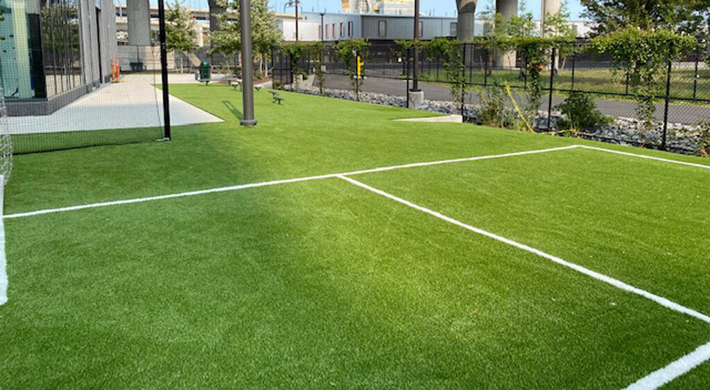 Field and lawn Boston
