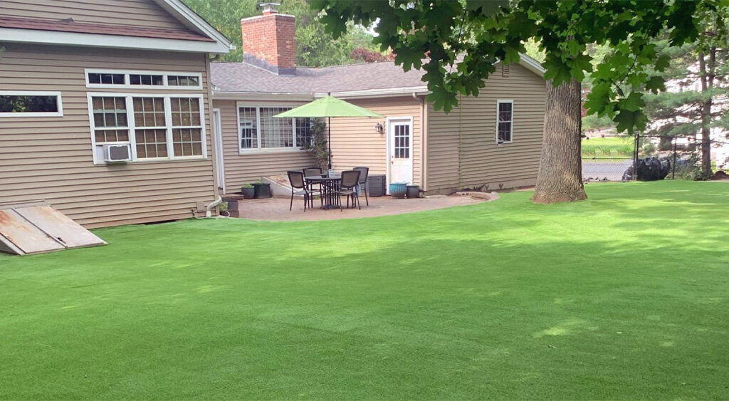 Lawn with Big Tree