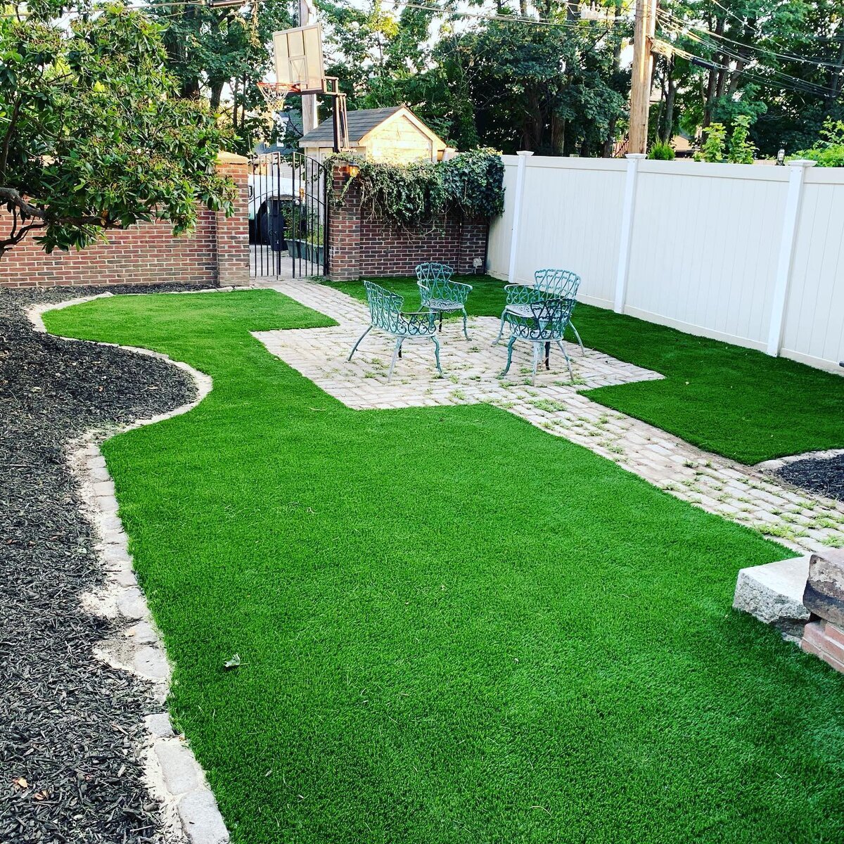 Backyard1