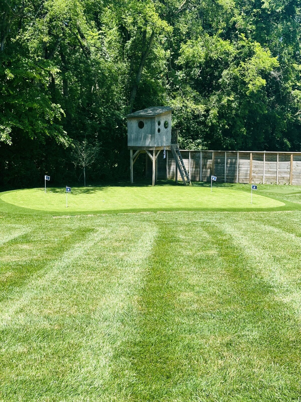 Perfect Backyard Chip Shot Putting Green Nashville Tennessee
