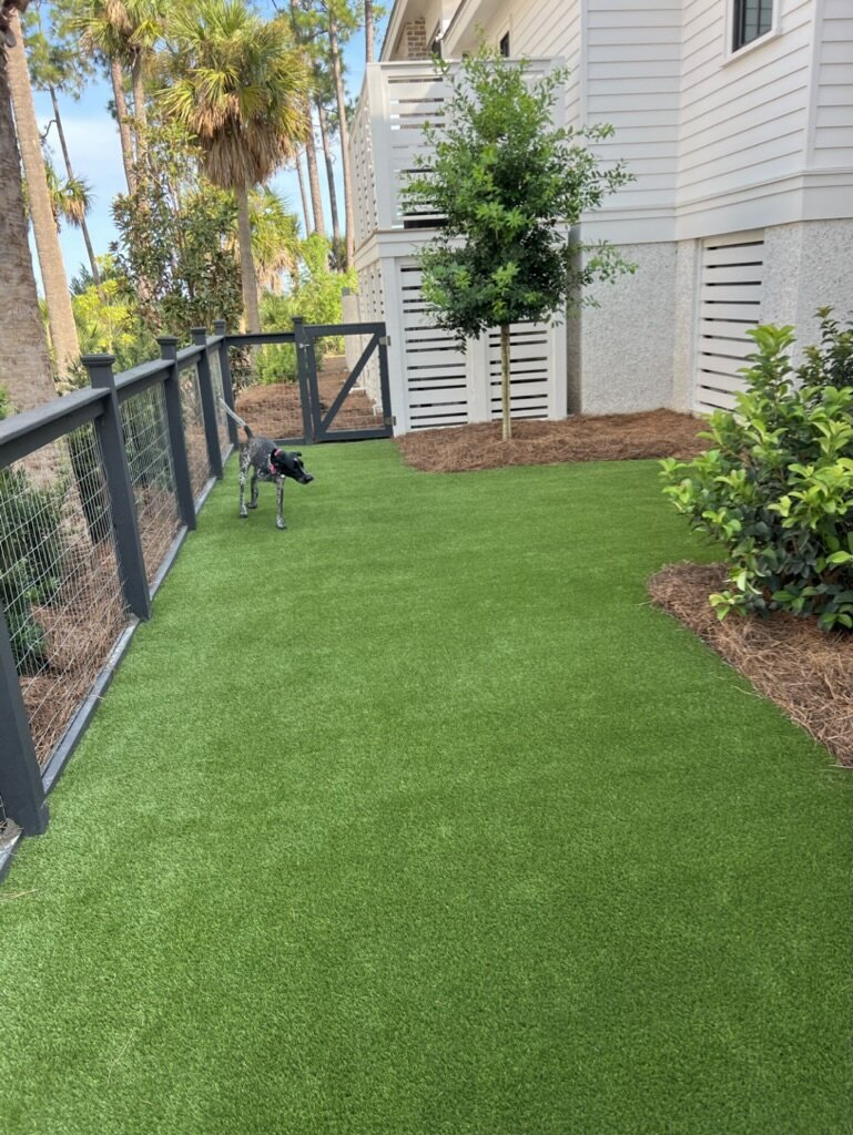 Savannah Artificial Pet Turf Two Dogs Hero Web