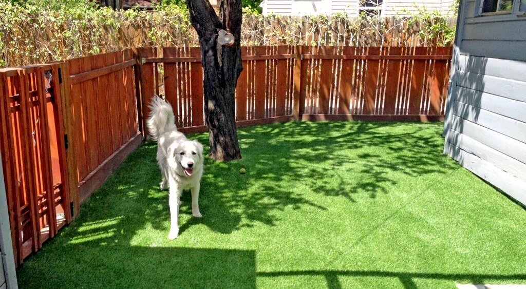 Residential Pet Turf