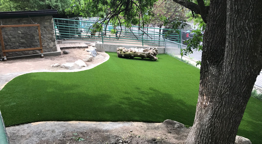 School Playground Space