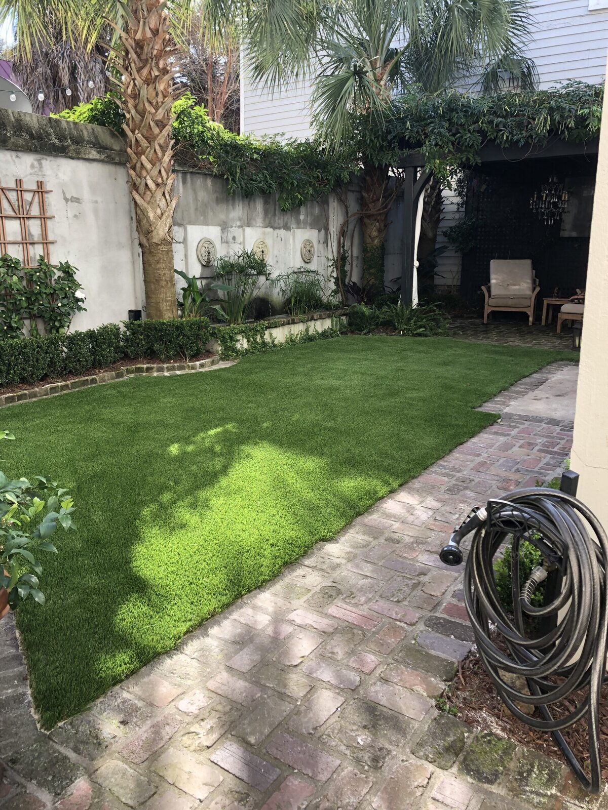 Backyard1