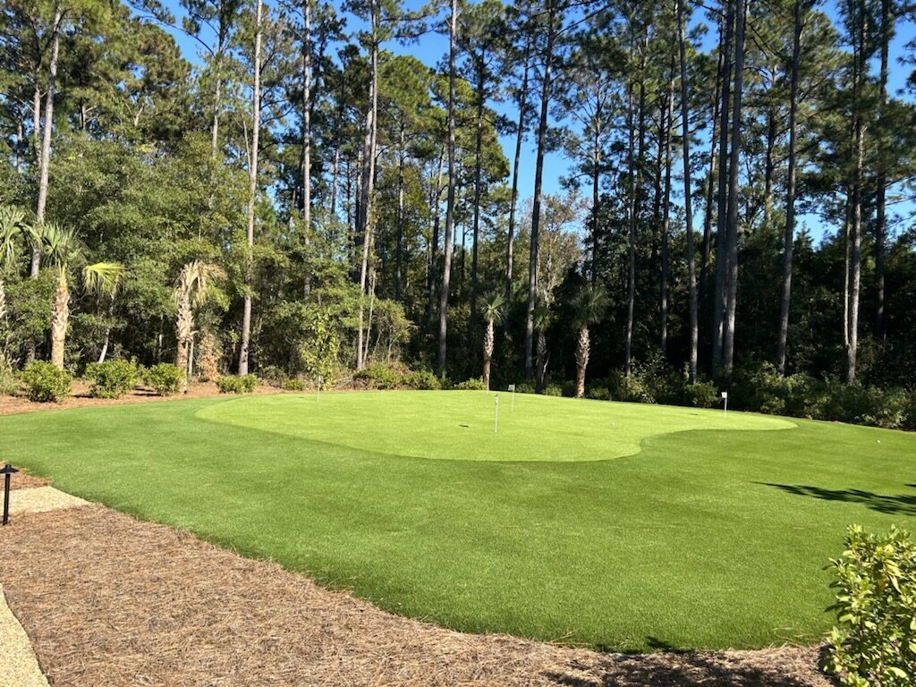 Synthetic Grass Backyard Putting And Chipping Green