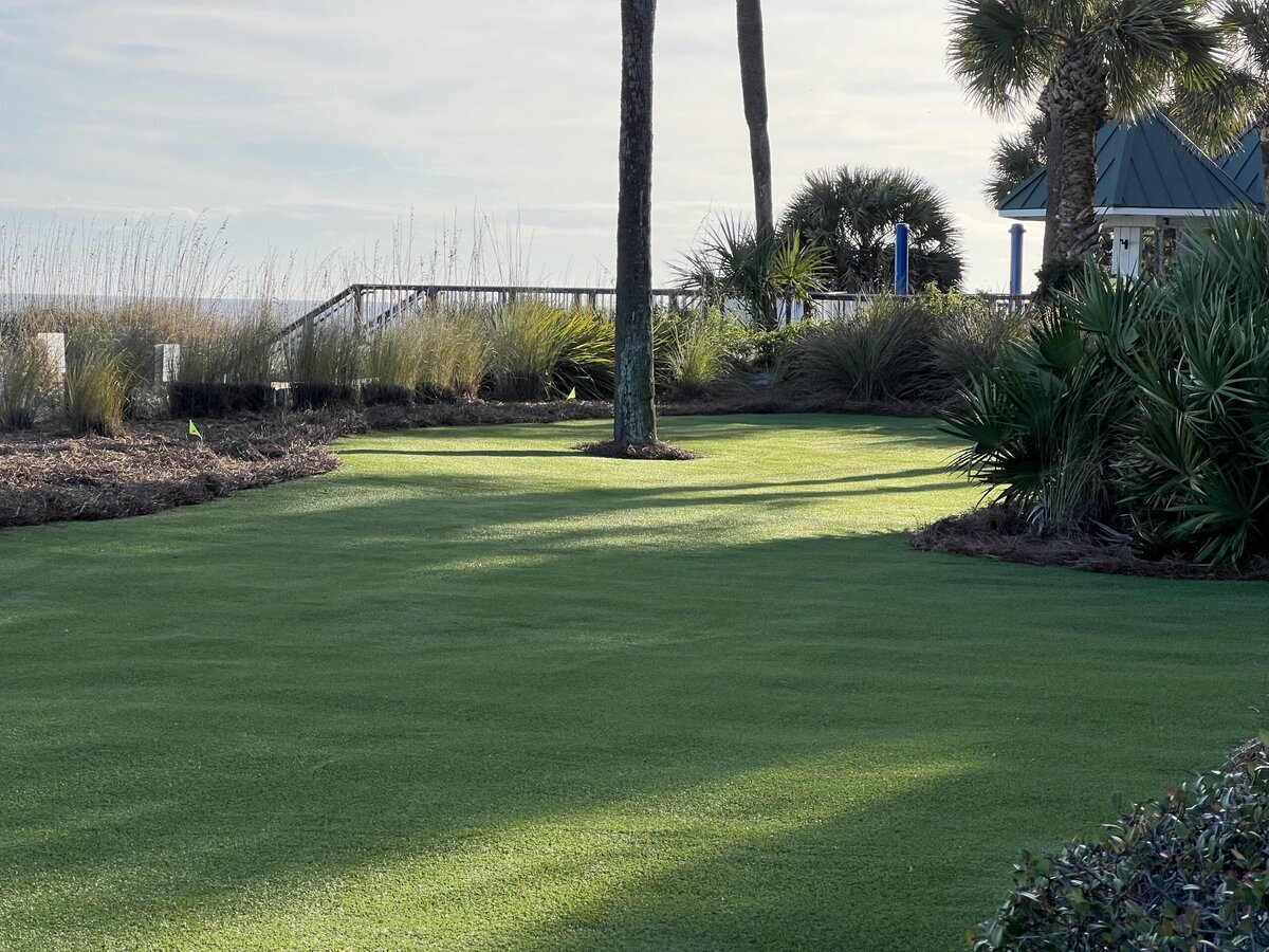 Synthetic Grass Lawn Between Clubhouse and Beach Hilton Head
