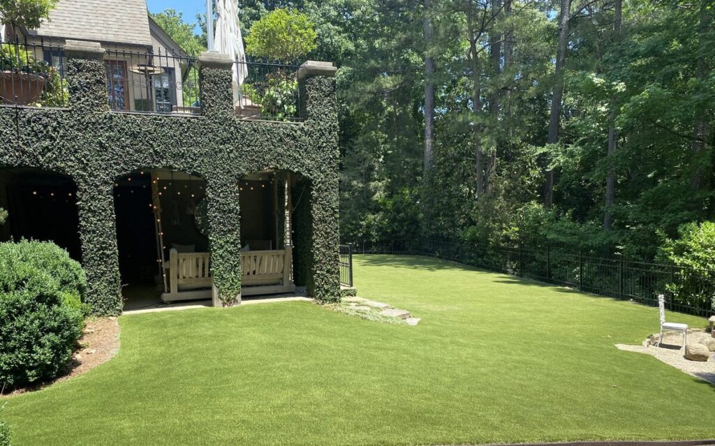 Backyard1