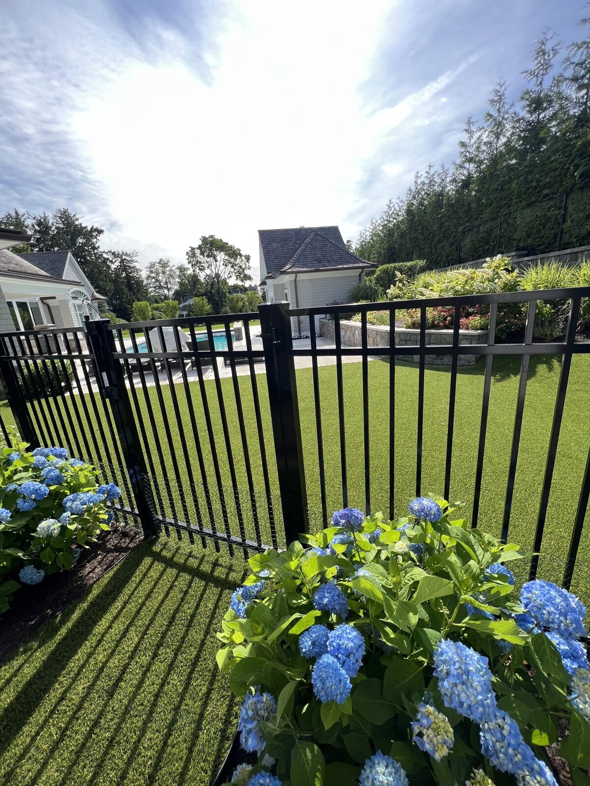 Turf Around Pool in Backyard Stamford