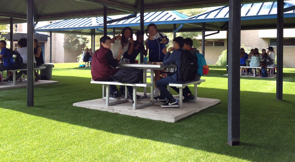 School Campus Synthetic Grass