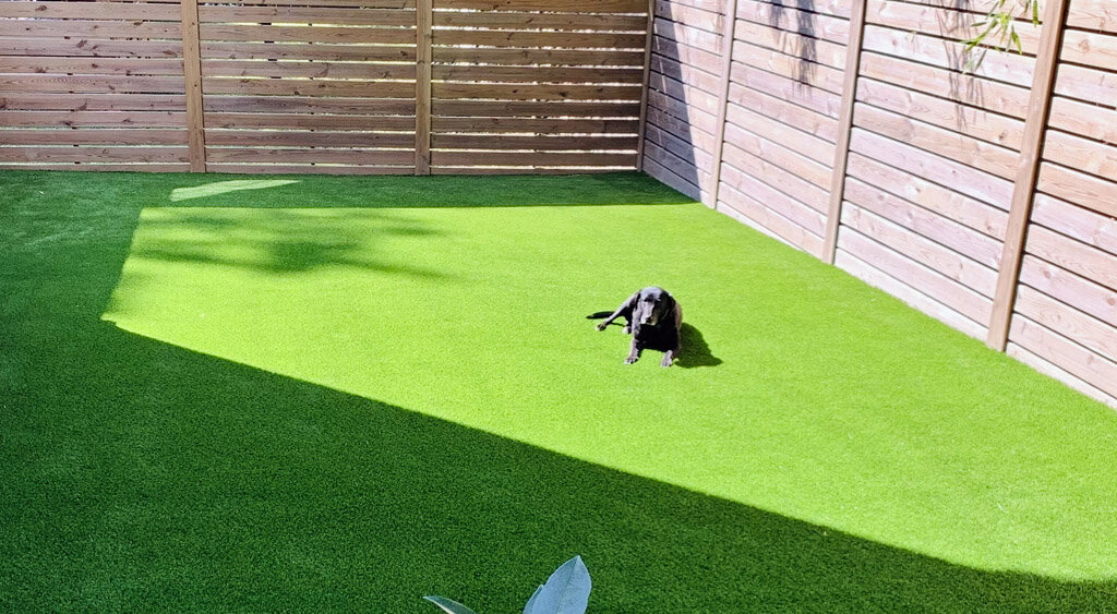 Austin Artificial Pet Turf Two Dogs Hero Web