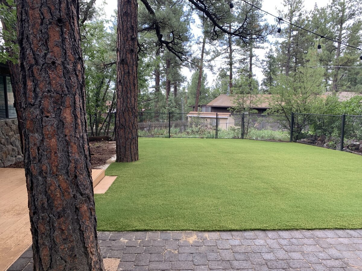 Backyard1