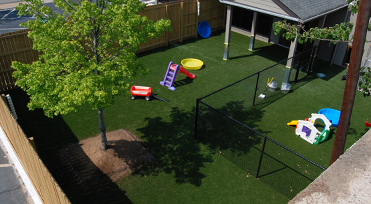 Commercial Pet Turf Austin