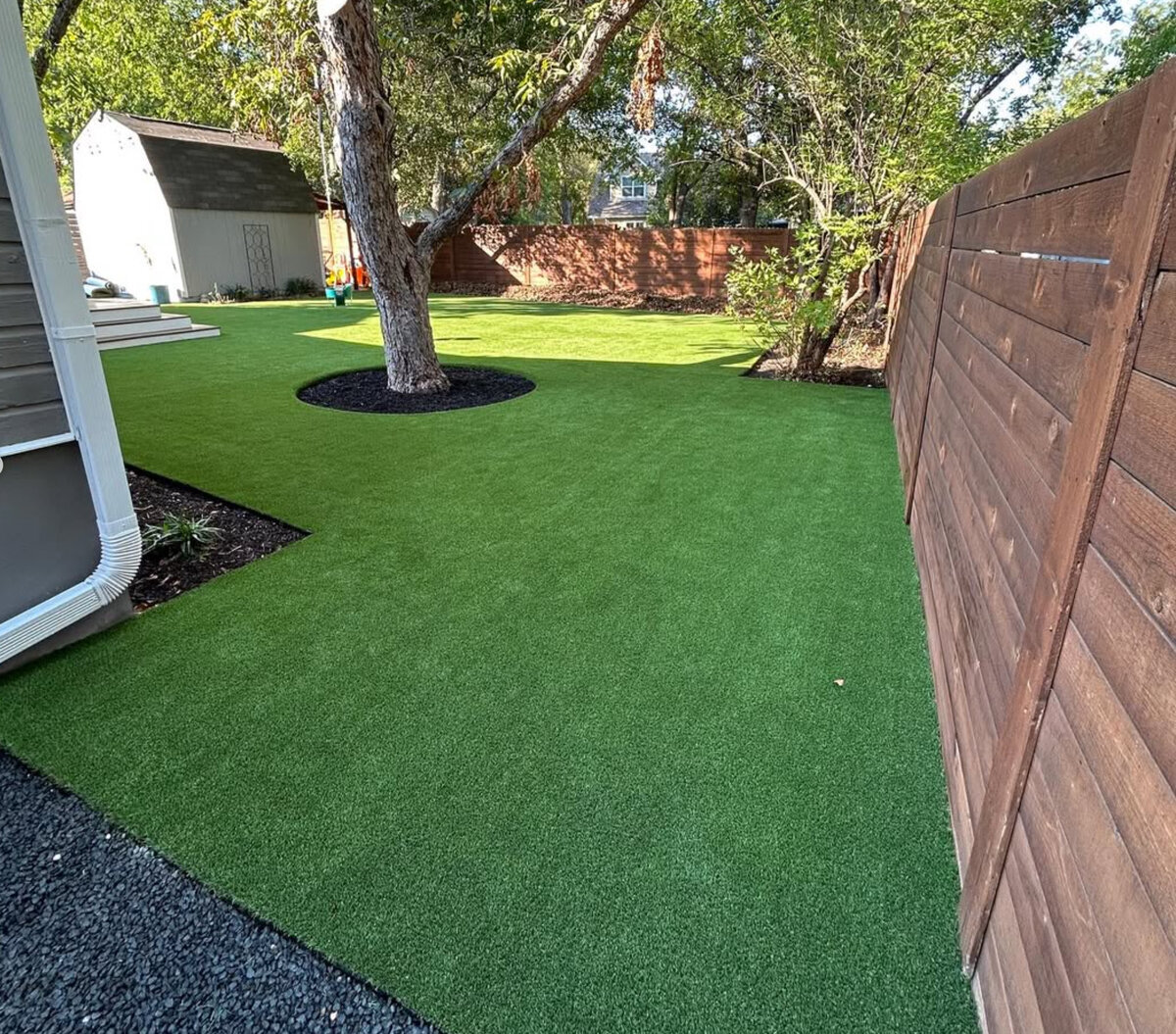 Backyard1