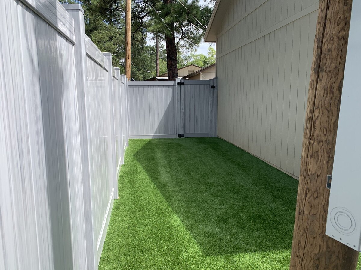 Backyard1