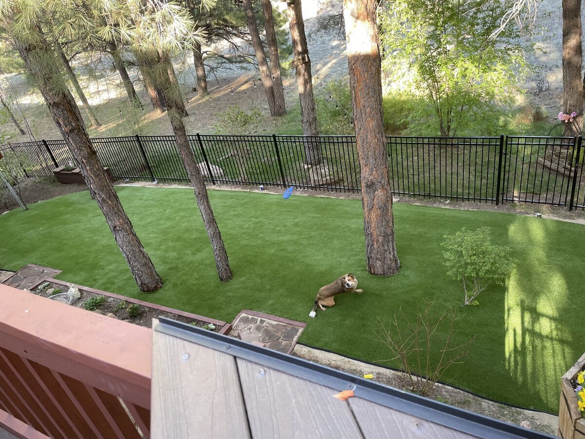 Backyard Artificial Turf Phoenix Playhouse 1024x576