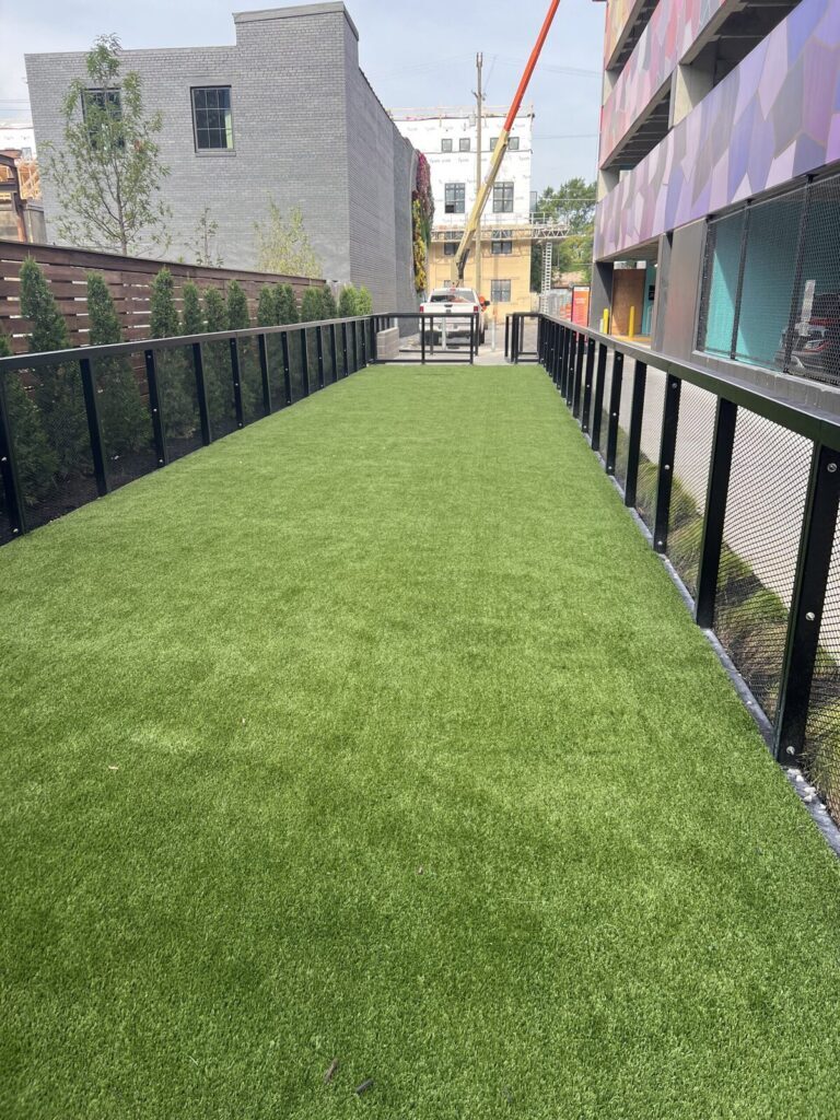 Columbus Artificial Pet Turf Two Dogs Hero Web