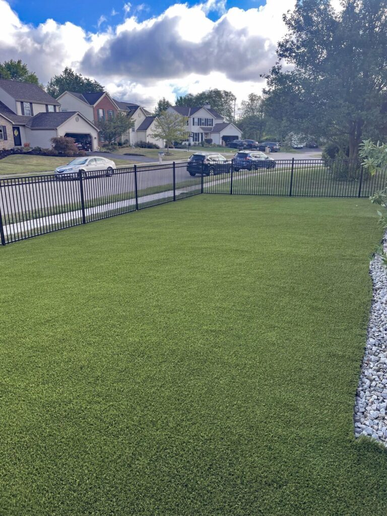 Backyard1