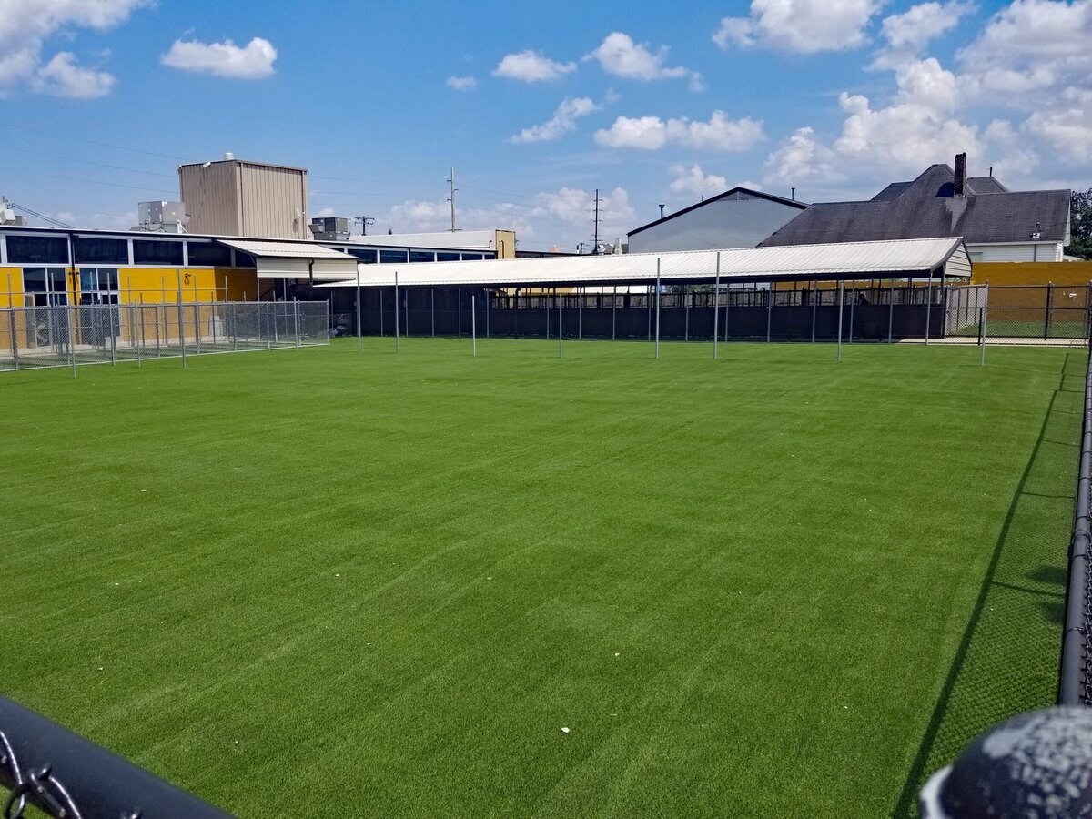 Artificial Grass for Dog Daycare