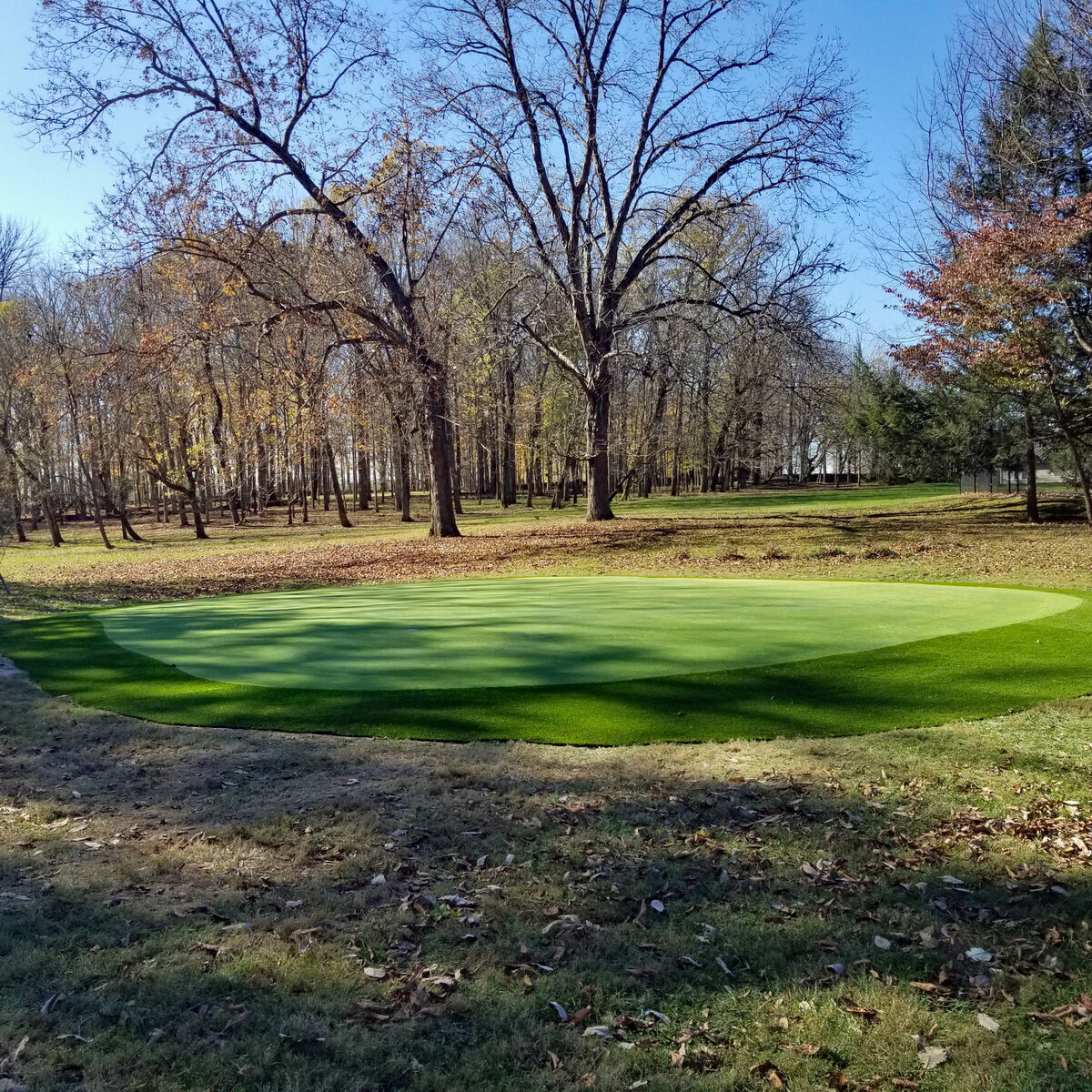 Artificial Grass Golf Green with Fringe Lexington