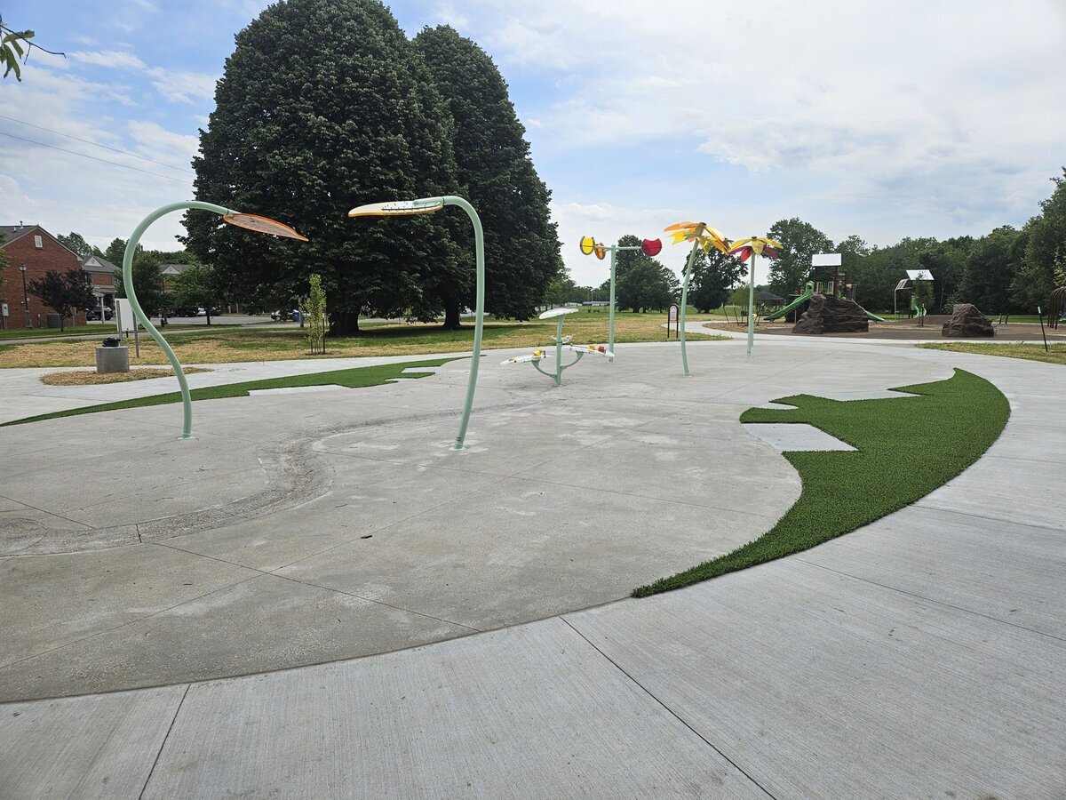 Artificial Grass in Park Lexington