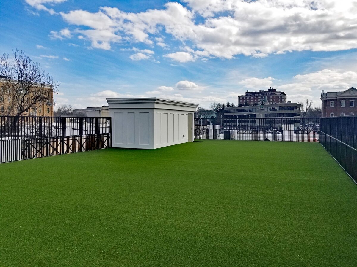 Artificial Grass Roof Louisville KY Grass365
