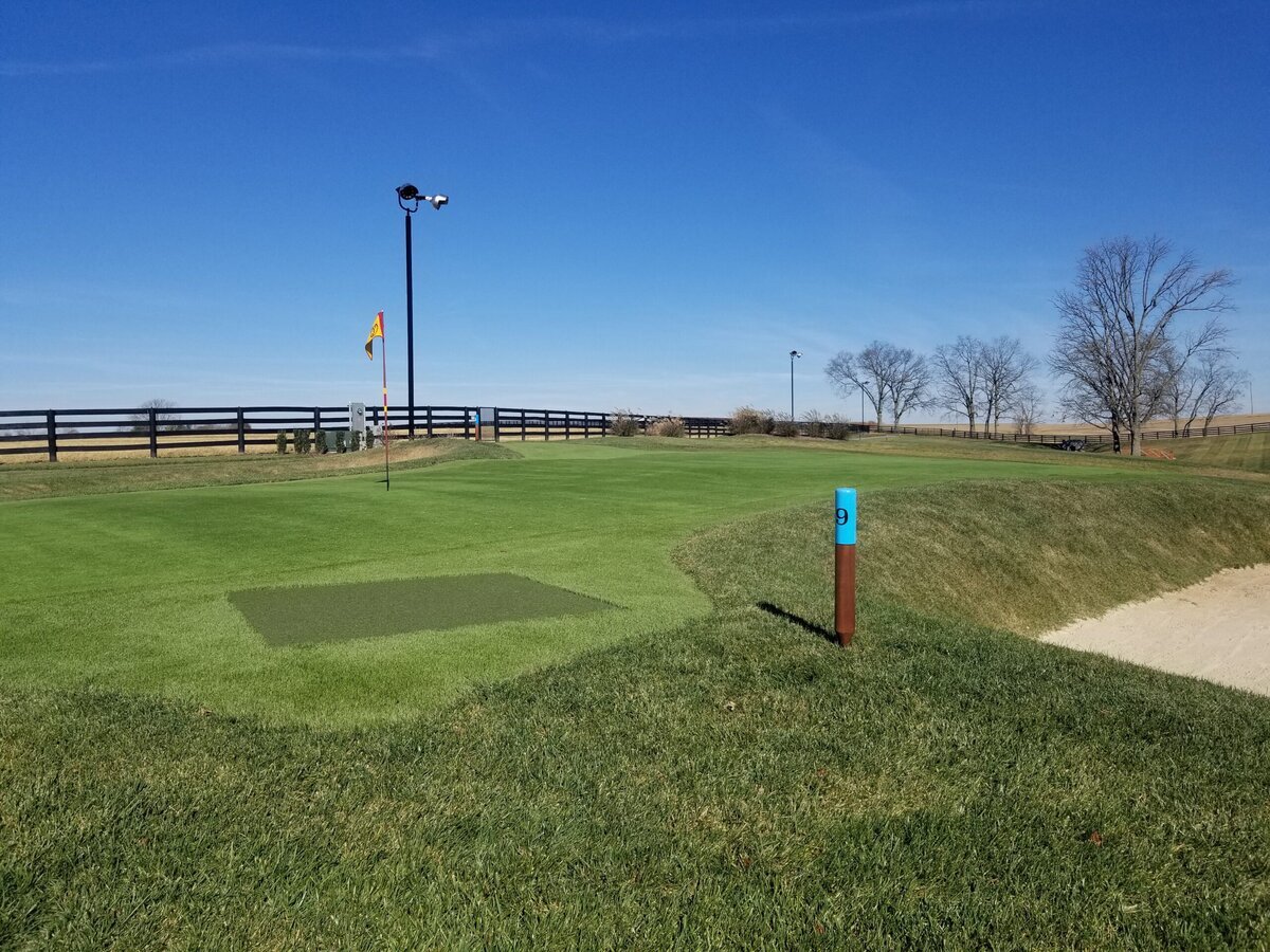 Backyard Putting Green Golf Course
