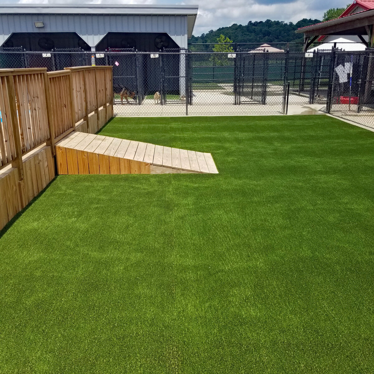 Commercial Dog Run Vet Day Care Louisville