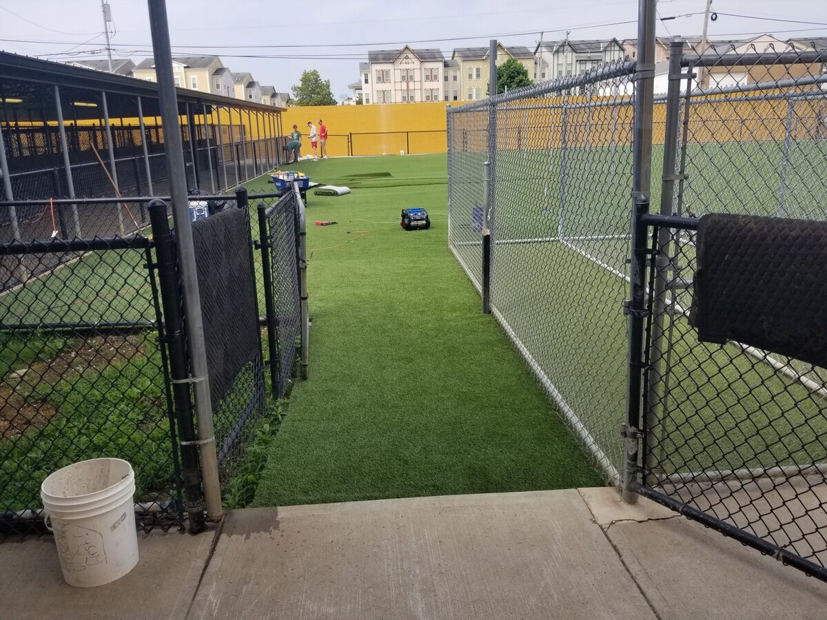 Commercial Pet Grass Installation Lexington Louisville