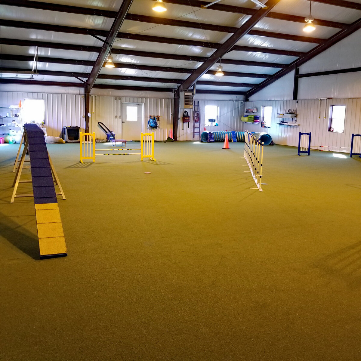 Dog Training Turf Pets Lexington
