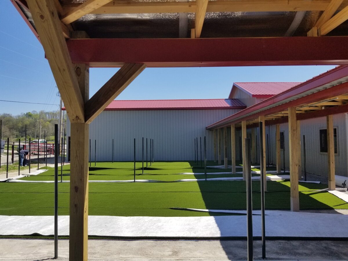 Lexington Artificial Pet Turf Two Dogs Hero Web