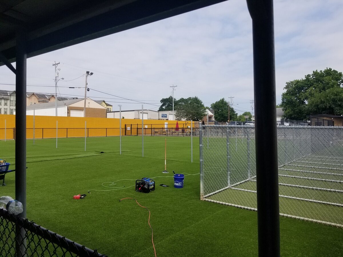 Installing Pet Grass Lexington