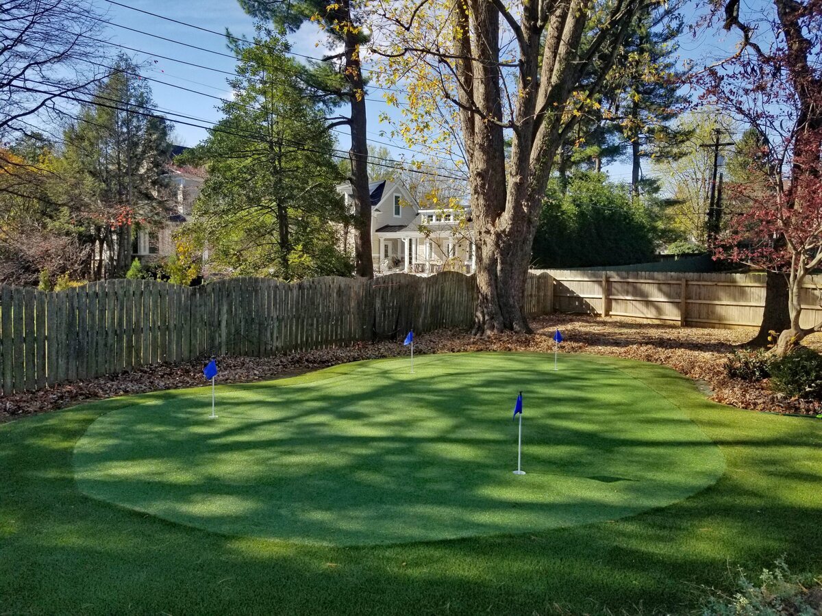 Lexington Backyard Putting Green Grass365
