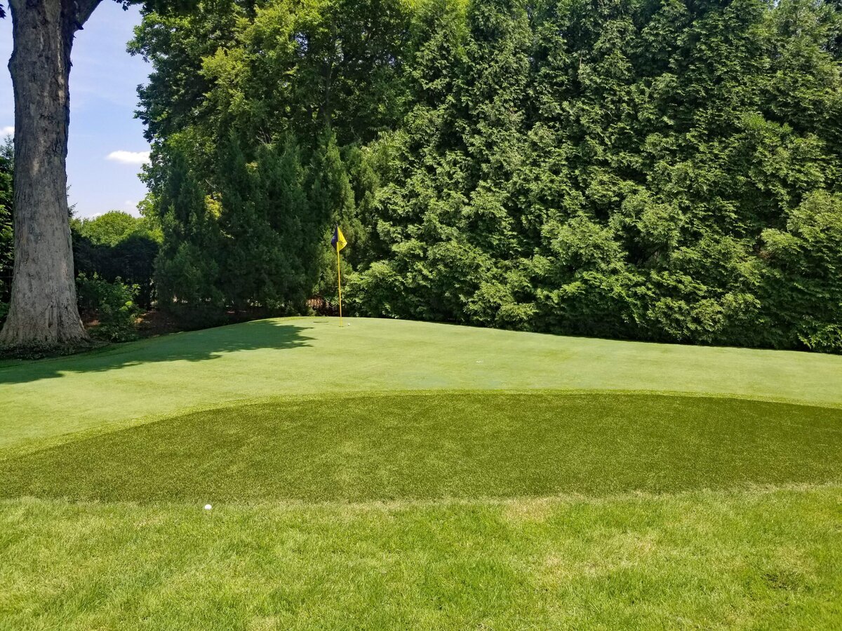 Lexington Louisville Backyard Putting Greens