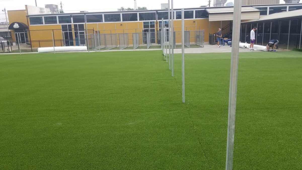 Pet Turf Louisville KY