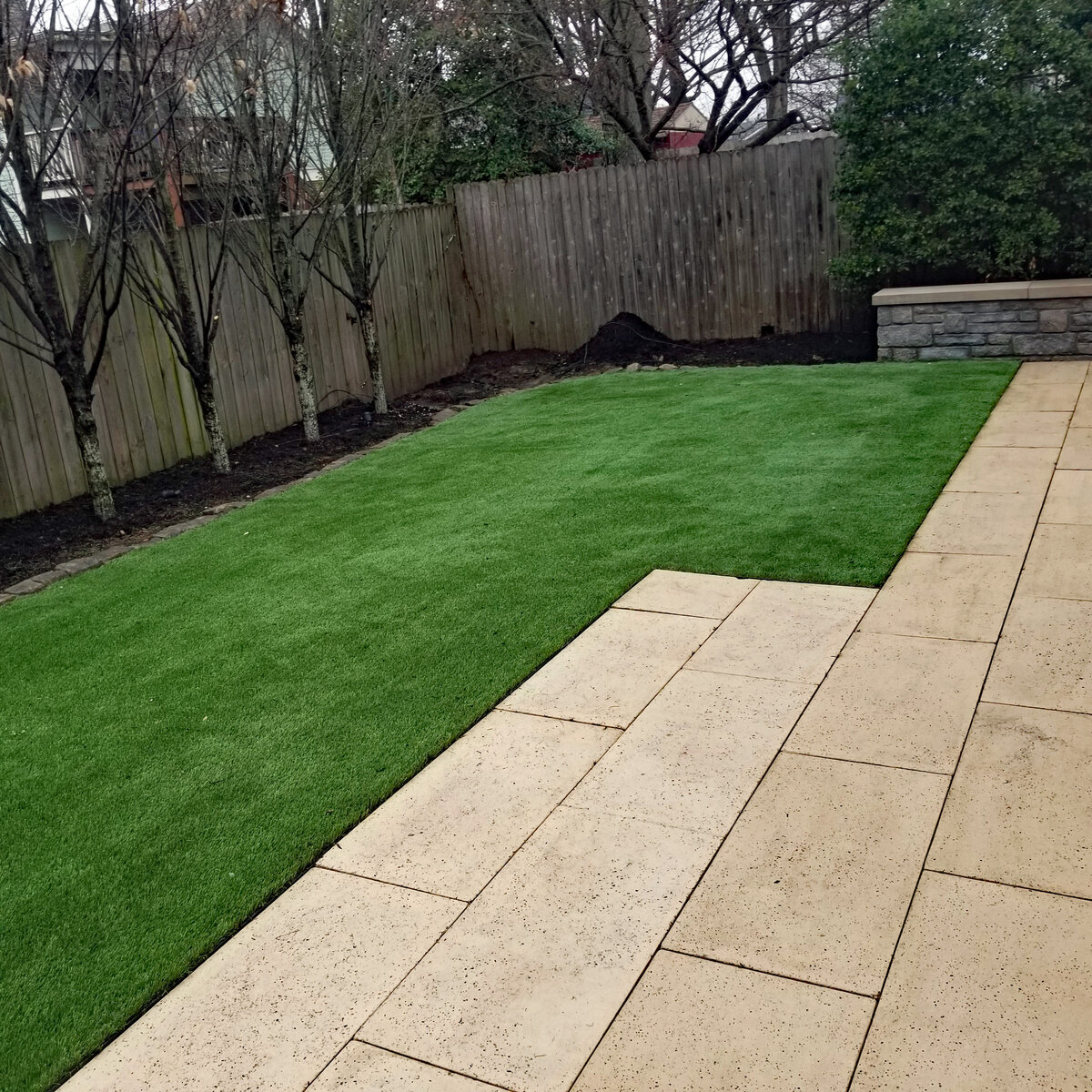 Backyard1