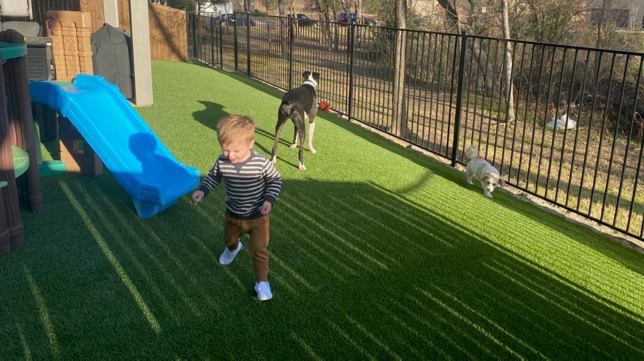 Dallas Artificial Pet Turf Two Dogs Hero Web