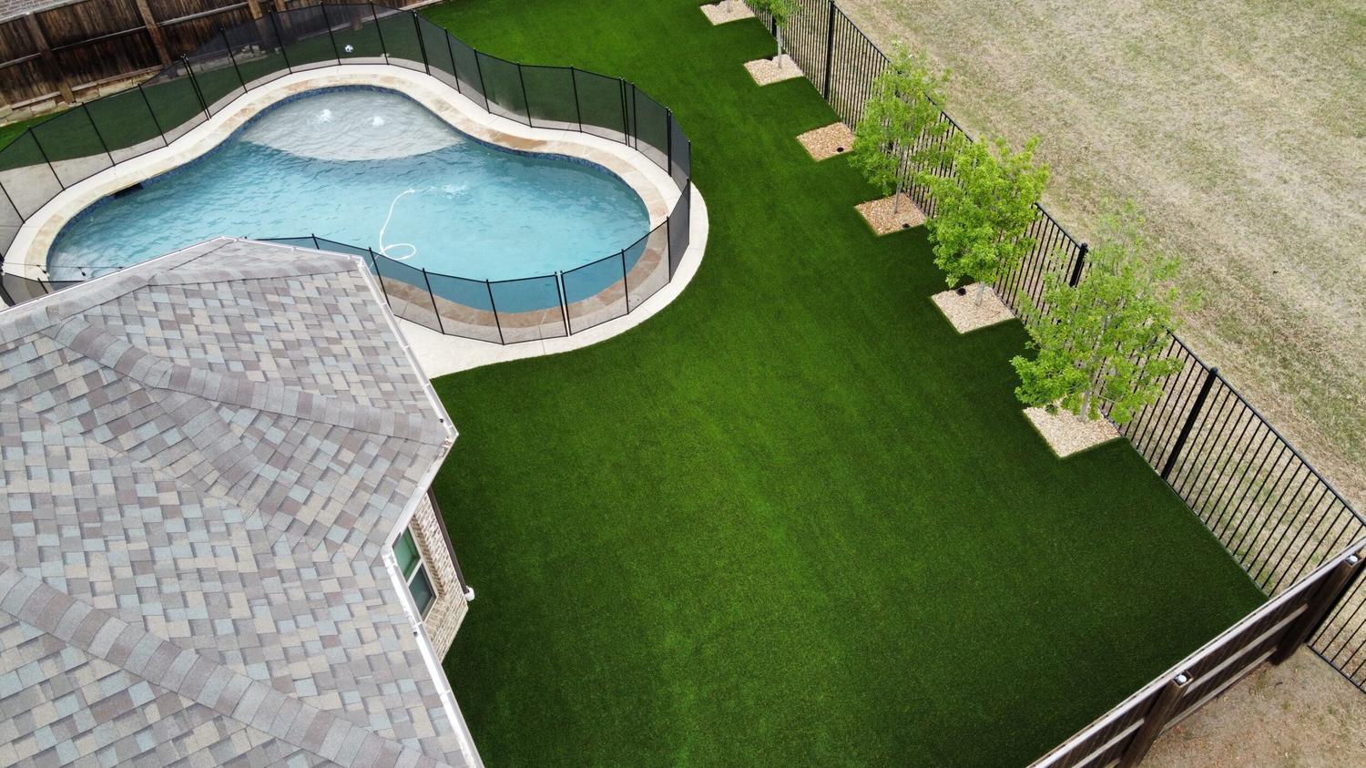 Backyard1