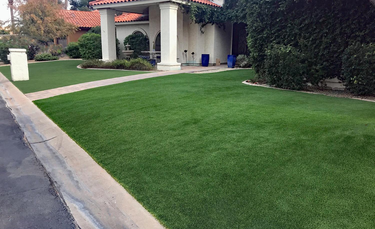 Backyard1