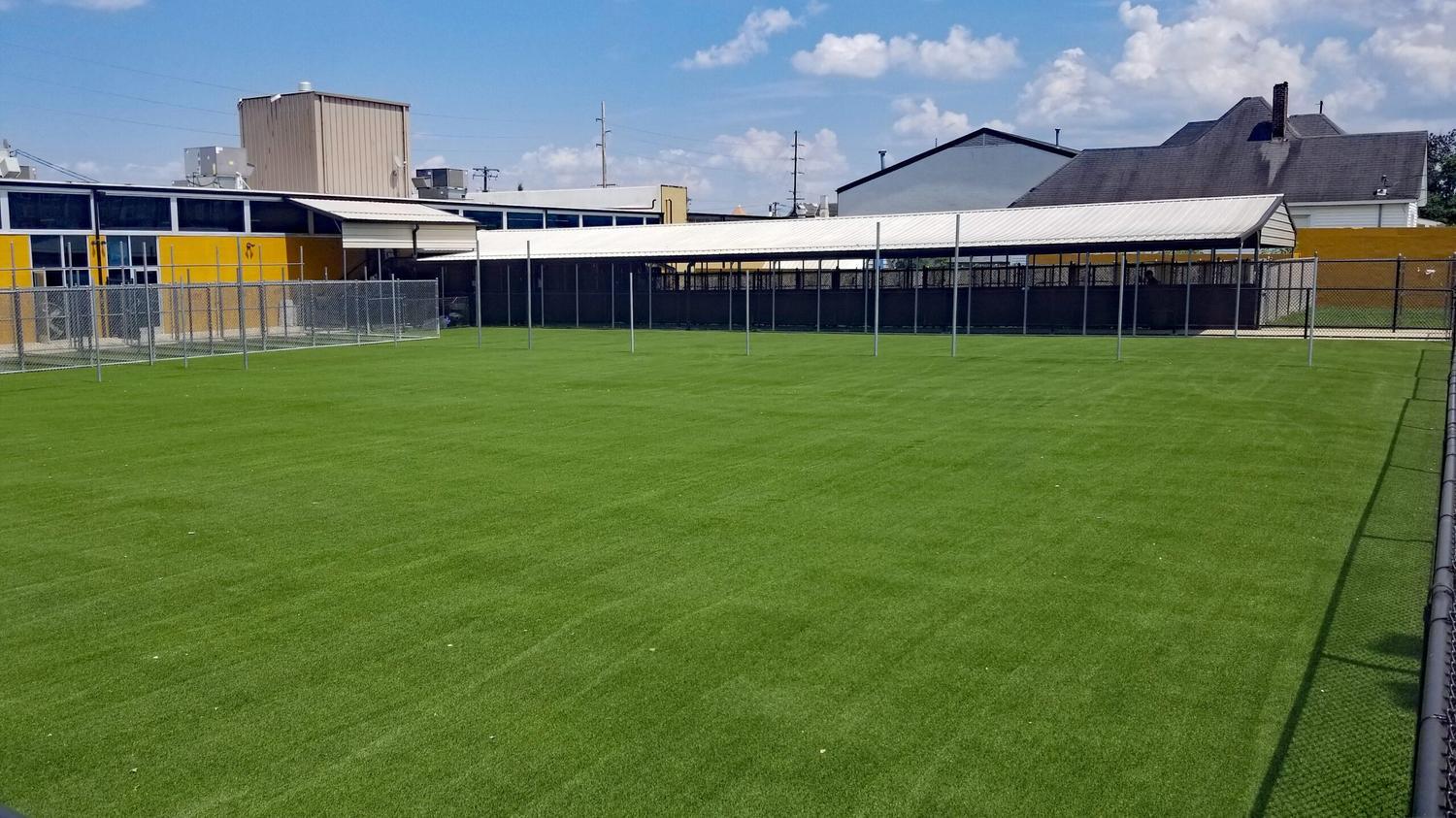 Pet Friendly Artificial Turf