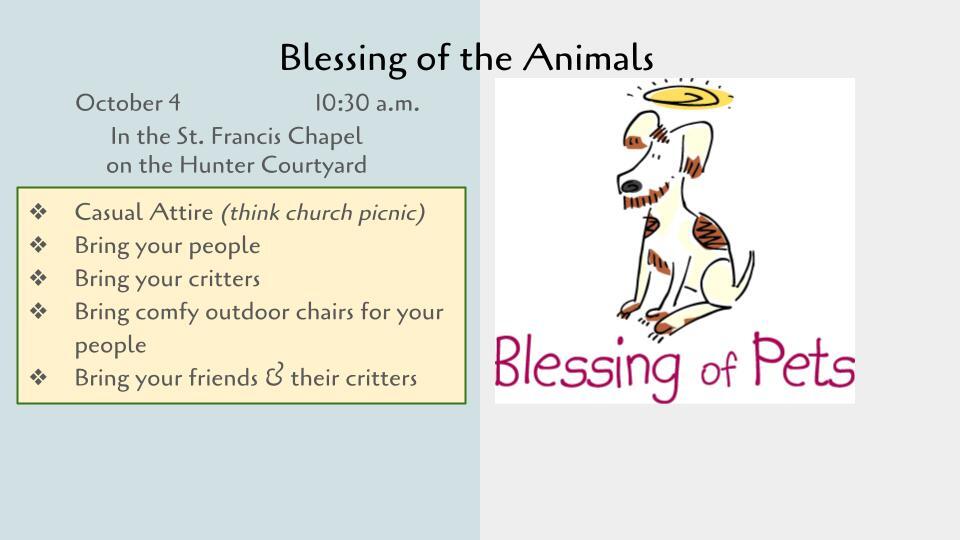 Blessing of the Animals