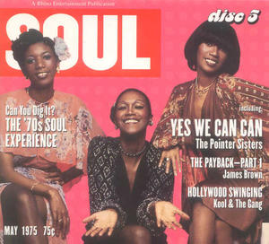 Image result for can you dig it? the 70s soul experience