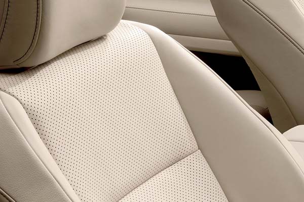 2019 GX -Comfort & Design