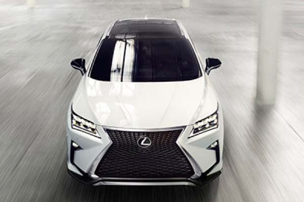 2019 RX Hybrid-Performance