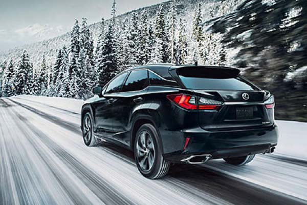 2019 RX Hybrid-Performance