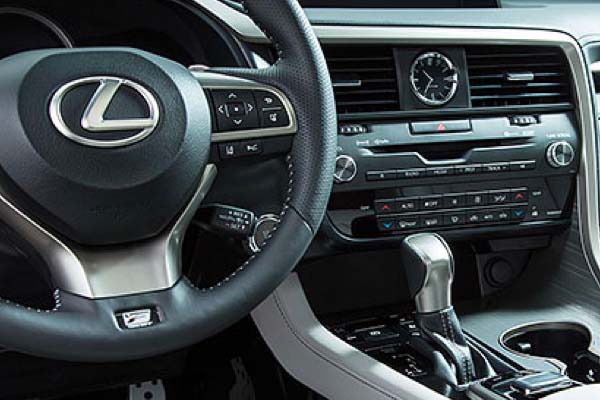 2019 RX Hybrid-Performance