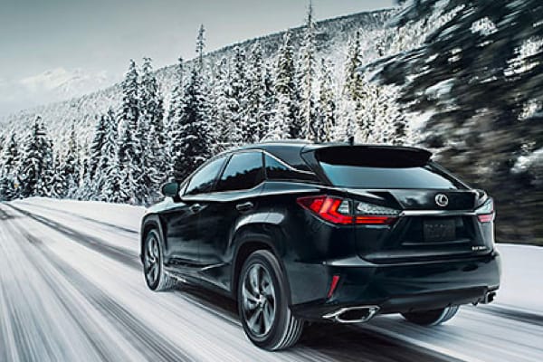 2019 RX -Performance