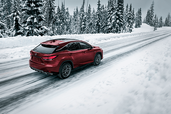 2021 RX Hybrid-Performance